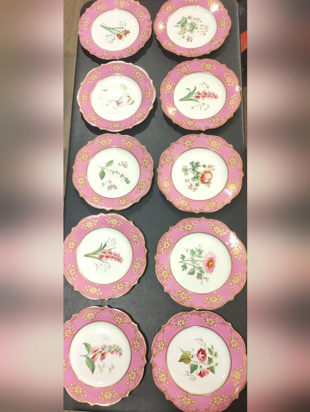 Antique Dessert Plates: Hand-Painted Botanical Set with Gilded Rims (1850)